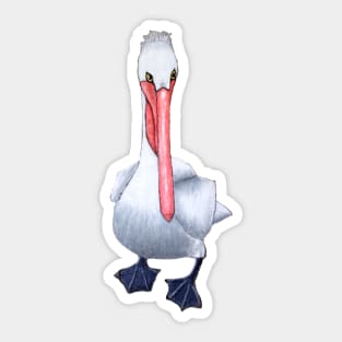 Pelican Sticker